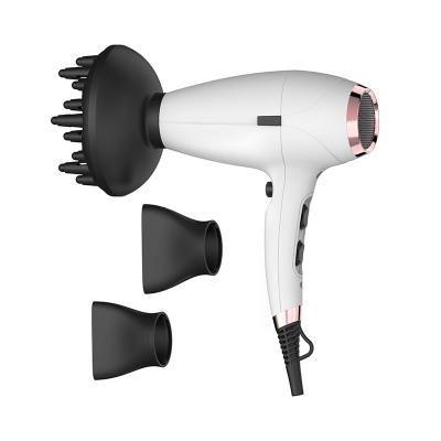 China Hot Selling Ionic Removable Filter Cover Professional Hair Dryer With AC Motor / EMC CE Approved à venda