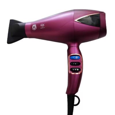 China New Design Professional Ionic Electric Ionic Hair Dryer High Quality Hair Dryer à venda