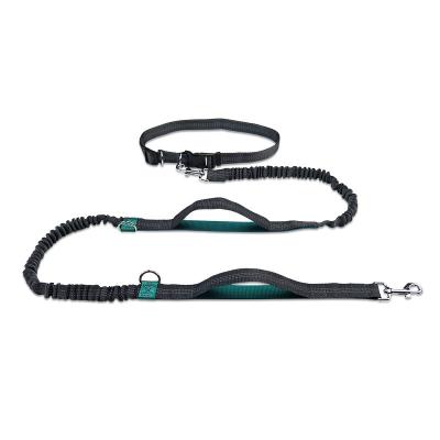 China Outdoor Working Reflective Retractable Polyester Pet Leash Double Dog Leash Chain Leash Pet Supplies for sale