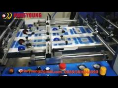 Automatic Electric Plastic Thermal Lamination Bopp Film Laminating Machine SW Series