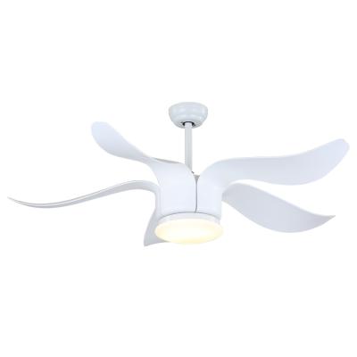 China Hotel Modern Design 56-F5101-WH Best Price High Quality Decorative Ceiling Fan for sale