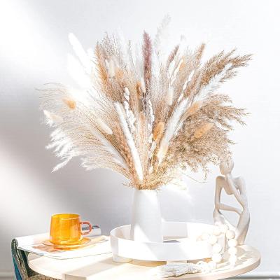 China Free Sample Pampas Grass Amazon Cheap Hot Sale Durable Dried Flowers Pampas Reed Bouquet Home Decorative Flowers Gift Preserved Flower for sale