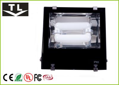 China Compact Modern Induction Flood Light 200W Bright Aluminum Body for sale