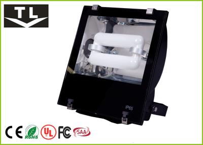 China 120 W Garage Lighting Induction Flood Light Super Long Life Waterproof for sale