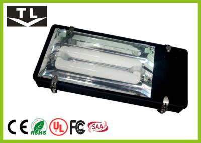 China Outdoor High Power Induction Tunnel Lighting AC 110V - 240V IP65​ For Roadways for sale