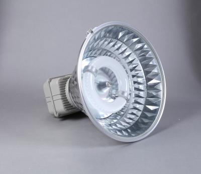 China High Lumen 120W - 250W High Bay Induction Light IP43 Warm / Cool White for sale