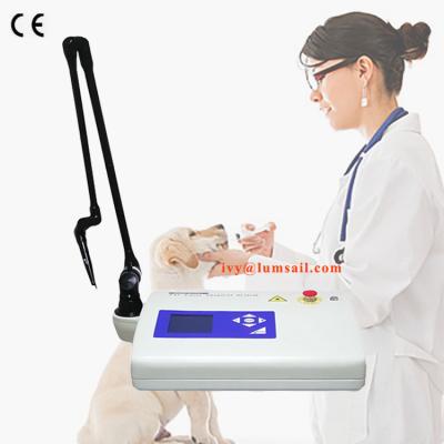 China Veterinary Equipment Animal Disease Laser Therapy Apparatus CO2 Laser Surgical Therapy In Veterinary Surgery for sale