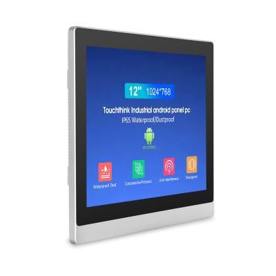 China Touchthink 12