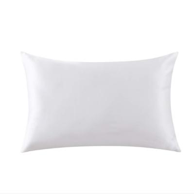 China Standard 22 Momme Mulberry 100% Silky Wearable Silky Pillowcase For Luxury Zippered Hair for sale