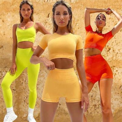 China Breathable Seamless Fitness T-shirt+bra2+short+pant 5 PCs Yoga Suit Women Yoga Clothes And Fitness Clothes for sale