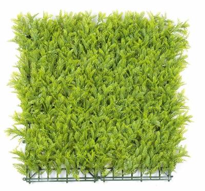 China 50*50cm Outdoor Ultraviolet Proof Outdoor Decorative Mimosa Boxwood Artificial Panel,Artificial Boxwood Hedge Panel Wall for sale