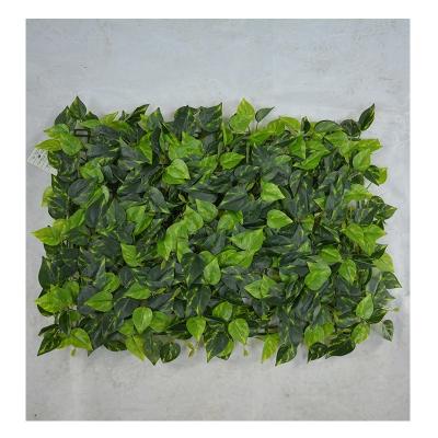 China 40*60CM High Simulation Indoor Decorative Artificial Pig Heart Leaves Wall,Artificial Green Leaves For Walls,Artificial Leaf Wall for sale