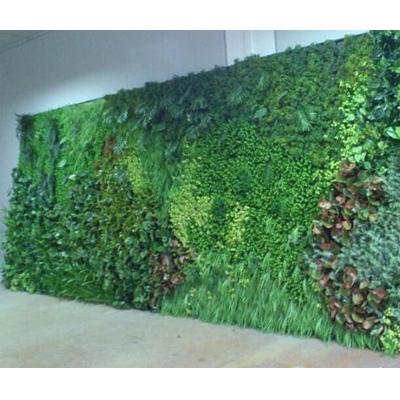 China Hot Selling Synthetic Green Wall Plant Wall Artificial Green Wall Artificial Green Wall Plant Artificial Green Wall for sale