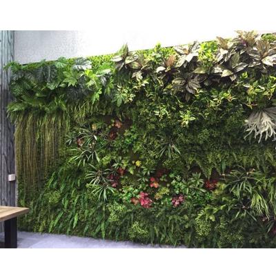 China Hot Selling Artificial Moss Grass Wall Plant Wall Grass Wall Artificial Green Artificial Wall Plant Wall Artificial Green Wall For Decoration for sale