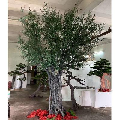 China 320cm tall size real wooden olive tree for home decor large evergreen artificial old olive tree,cheap olive tree,320cm tall tall wooden real olive tree for home decor for sale