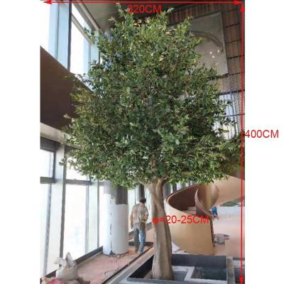 China 400cm Large Size Natural Shaped Fiberglass Old Artificial Evergreen Olive Tree,Cheap Olive Tree,400cm Large Size Natural Shaped Fiberglass Artificial Olive Tree for sale