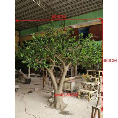 China 380cm Tall Height Fiberglass Olive Tree For Indoor Decoration Factory Price Artificial Old Olive Tree,Cheap Olive Tree,380cm Tall Height Fiberglass Olive Tree For Indoor Decor for sale