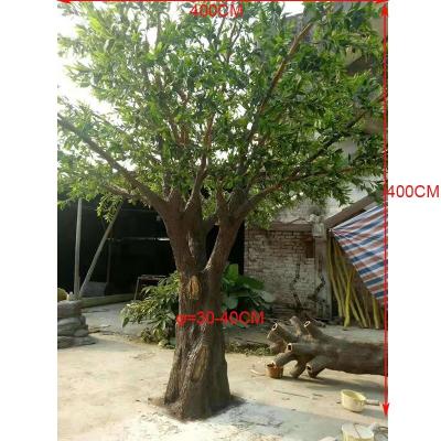 China 400cm tall size fiberglass tree for home decor large evergreen artificial old olive tree,cheap olive tree,400cm tall size fiberglass tree for home decor for sale