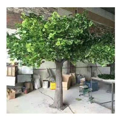 China Real touch customized large artificial green ginkgo tree, 350cm height ginkgo biloba tree factory for sale, artificial tree ginkgo price for sale