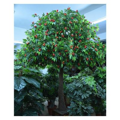 China Large Size Artificial Indoor Fiberglass Bonsai 150CM/5ft Evergreen Cherry Fruit Tree Bonsai,Artificial Fruit Plant Topiary Bonsai for sale