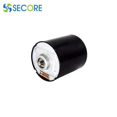 China 5500RPM hoge snelheids Brushless Motor 3640 Brushless Gelijkstroom Motor 36mm van 4800RPM 12V 24V Te koop