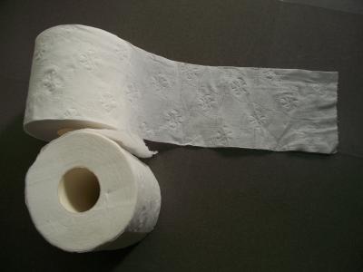 China 15 ~18gsm wit Badkamers Biologisch afbreekbaar Toiletpapier VAN maagdelijke houtpulp Te koop