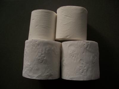 China Blume prägeartige Falte 10 Rolls des Toiletten-Seidenpapier-Bad-Gewebe-2 zu verkaufen