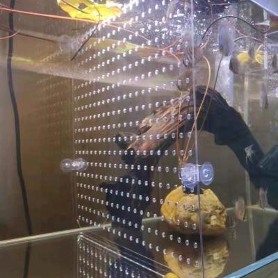 China Xinkeda Transparent Acrylic Fish Tank Partition Divider Isolation Stocked Clear Plastic Board With Hole for sale