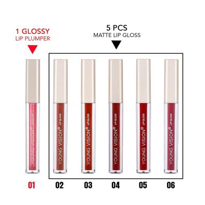 China Waterproof 6 Piece Lip Gloss Set Matte Liquid Lipstick Long-Lasting Wear Not Fade Waterproof Lip Gloss for sale