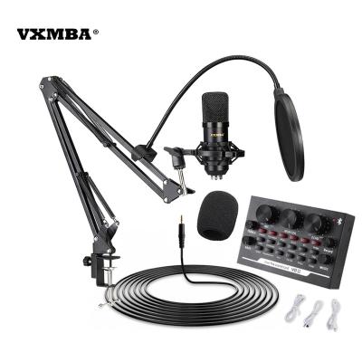 China Condenser Microphone + External Sound Card BM-700+v8II Set Fit Professional Live Stream Broadcasting Recording Mini Studio Wireless Microphone for sale