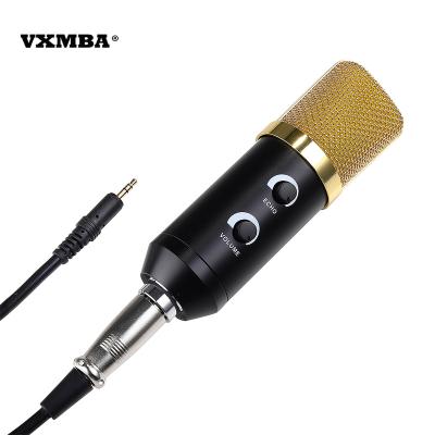 China Condenser microphone + sound card set BM 750 external studio recording USB condenser microphone condenser microphones unidirectional cable studio MIC for sale