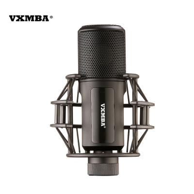 China Condenser Microphone + Sound Card Set T240 External Noise Reduction Wired Professional Microphone Studio Condenser Diaphragm Recording Microphone for sale