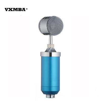 China Condenser Microphone + Small External Bottle Microphone Set Sound Card High Sensitivity Studio Singing Voice Chat Podcast Live Condenser Microphone for sale