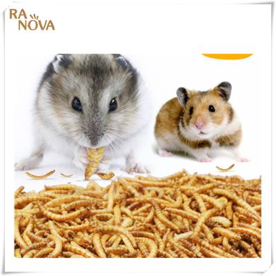 China Small Animals Freeze Dried Mealworm DM Mealworm SD Mealworm For Chicken Bird And Other Small Pets for sale