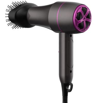 China 2021 New Mini Best Quality Professional Negative Ionic Hair Dryer AC Ion Styler for sale