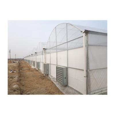 China Stable Structure Easily Assembled Bulk Price OEM Plastic Sheet Agricultural UV Treated Greenhouse for sale