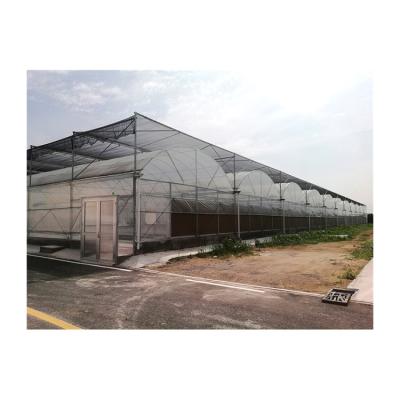 China Stable Structure Easily Assembled China Factory Price OEM UV Film Greenhouse Elastic Stretch Film Greenhouse for sale