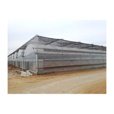 China Stable Structure Easily Assembled Cost Effective High Quality Customized PVC Plastic Sheet UV Greenhouse for sale