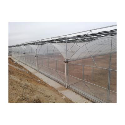 China Stable Structure Easily Assembled China Factory Outlet OEM Plastic PVC Cinema Greenhouse for sale