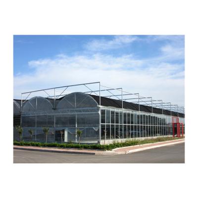 China Stable Structure Easily Assembled Competitive Price OEM China Multi-span PC Greenhouse Film Greenhouse for sale