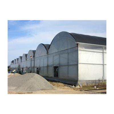 China Stable Structure Easily Assembled Factory Customization Multi-span PC Plastic Sheet Supply Customized Greenhouse for sale