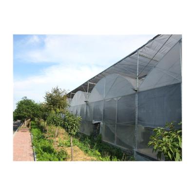 China Stable Structure Easily Assembled Direct Selling Multi-span Agricultural Greenhouse Plastic Sheet Greenhouse for sale