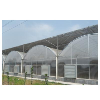 China Stable structure easily assembled multi-span film greenhouses poly tunnel green house for sale