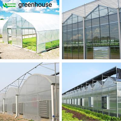 China Stable Structure Easily Assembled Agricultural Garden Green House Buildings Greenhouse for sale