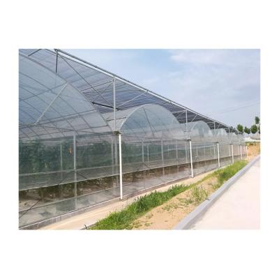 China Stable Structure Easily Assembled Hot Sale Accept Custom Multi-span Hydroponic Greenhouse Film Garden Greenhouse for sale