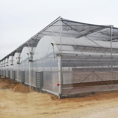 China Stable Structure Easily Assembled Cheap Price Customized Plastic Agricultural Greenhouse Woven Film UV Film Greenhouse for sale