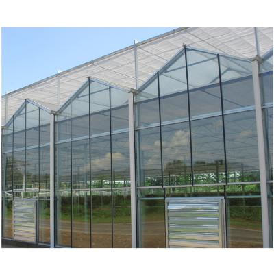 China Stable structure easily assembled mini sunrooms green house glass agricultural commercial for sale