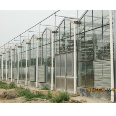 China Stable Structure Easily Assembled Hot Sale Aluminum Metal Glass Green House Commercial Gardens for sale