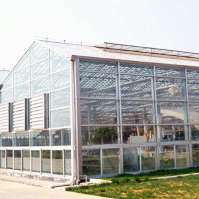 China Stable Structure Easily Assembled China Aluminum Frame Green House Mini Gardens Glass Hobby Greenhouse for sale