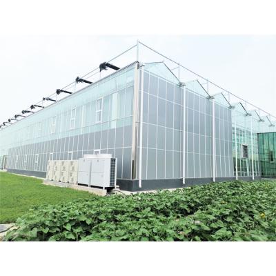 China Stable Structure Easily Assembled China Factory Price OEM Small Glass Greenhouse For Agriculture for sale